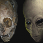 Científicos creen que este cráneo triangular podría ser de un extraterrestre
