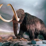 Rusia y Corea del Sur se unen para clonar al Mamut lanudo